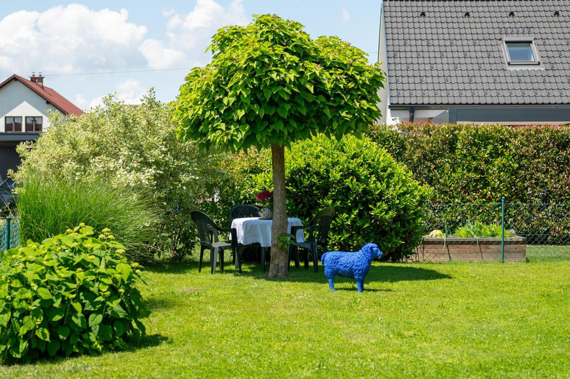 Relax Apartma Peter プトゥイ エクステリア 写真